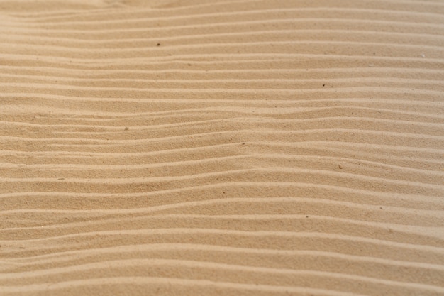 Foto lixe o fundo da praia e texture o teste padrão com espaço.