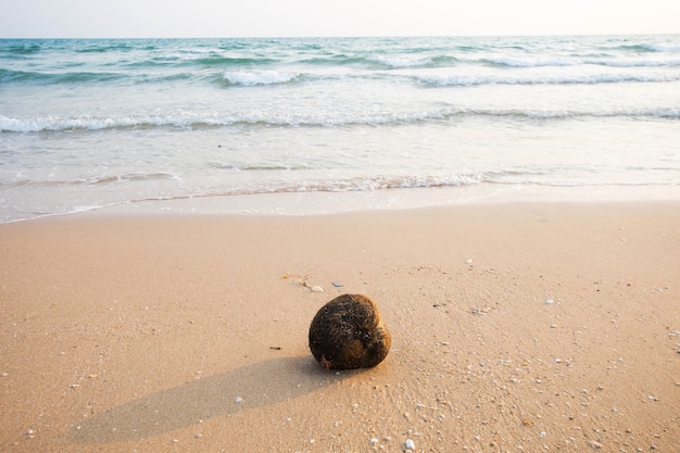 lixo na praia de areia