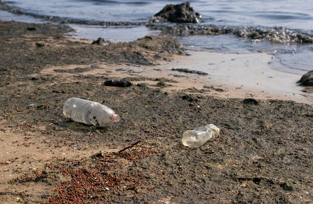 Lixo na praia Garrafas plásticas e joaninhas mortas