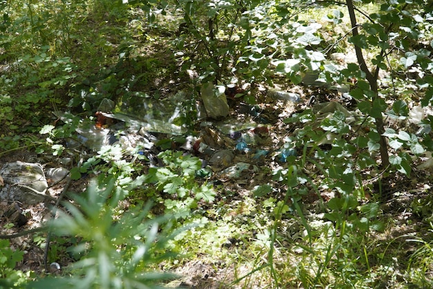 Lixo no aterro florestal ecologia poluição florestal Expurgo da natureza ecologia voluntária conceito verde