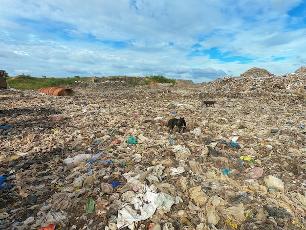 Foto lixo no aterro municipal para lixo doméstico