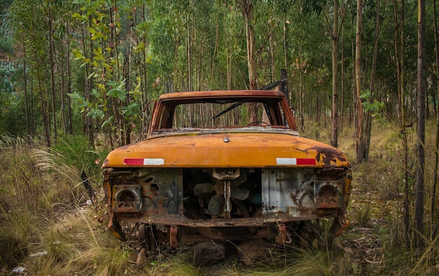 LKW im Wald vergessen