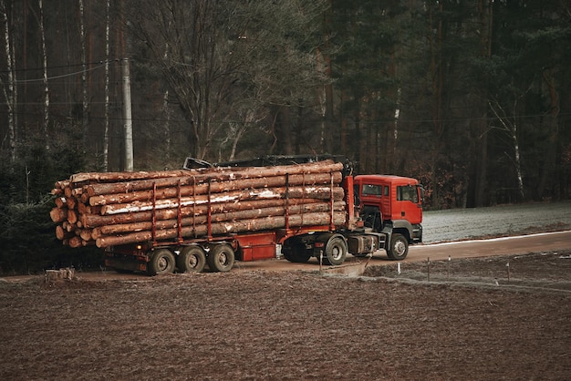 LKW-Transport Baumstämme Der Holztransporter transportiert im Winter Baumstämme auf der Straße