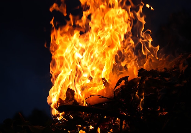 Llama brillante de un fuego ardiente sobre el brasero al aire libre