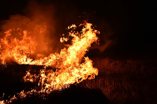 Llama de fuego en la oscuridad para el fondo abstracto