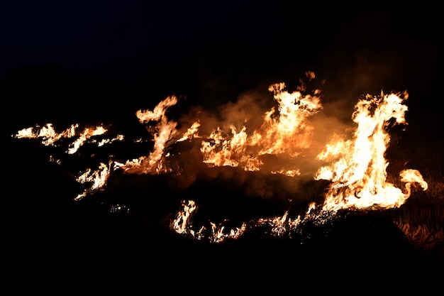 Foto llama de fuego en la oscuridad