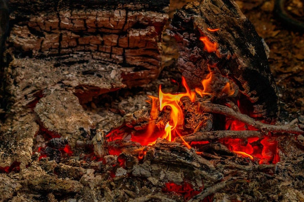 Llama de textura de la quema de troncos en la noche