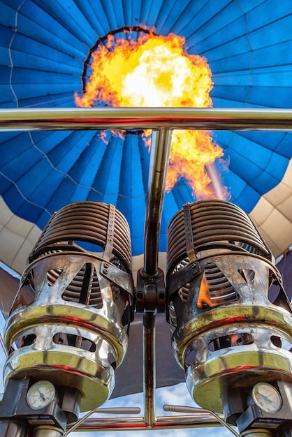 Llama vista dentro de un globo aerostático