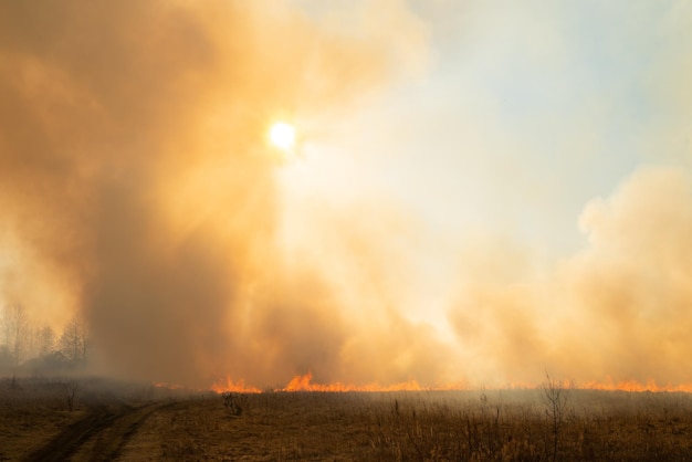 Llamas ardientes mucho humo en el campo