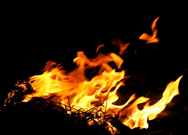 Llamas de fuego aisladas sobre fondo negro