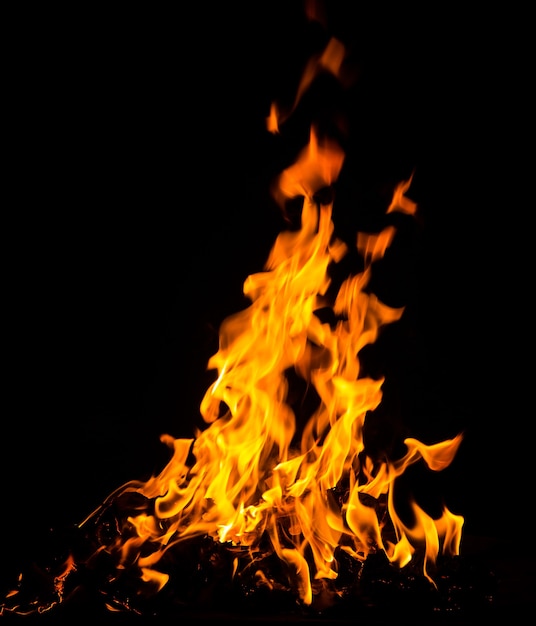 Llamas de fuego aisladas sobre fondo negro