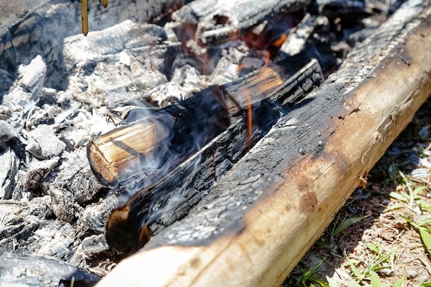 Llamas de fuego en estufa de leña de calefacción de leña de eucalipto