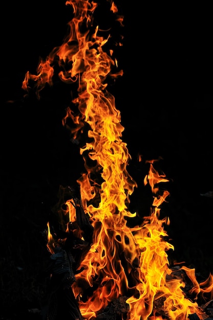 las llamas de fuego salvaje arden con fondo negro