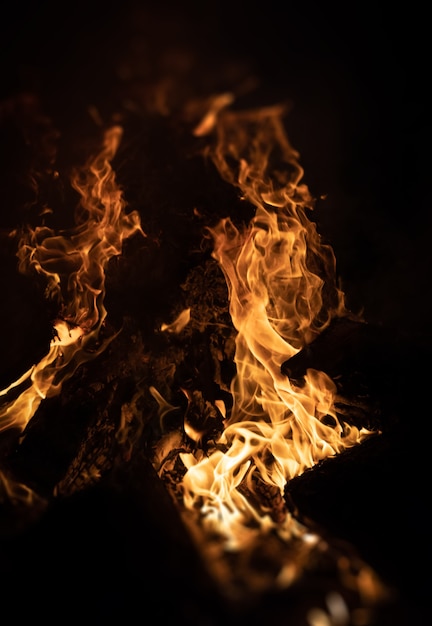 Llamas de hoguera por la noche. Llamas de fuego sobre un fondo negro