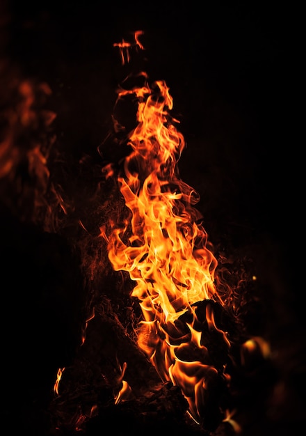 Foto llamas de hoguera por la noche. llamas de fuego sobre un fondo negro