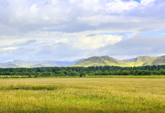 Foto una llanura cubierta de hierba con el telón de fondo de montañas verdes en verano bajo un cielo nublado azul. siberia, rusia