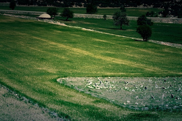 Llanura de las estribaciones con árboles al anochecer