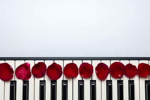 Llaves del piano con los pétalos de la flor de la rosa del rojo, visión aislada, superior, espacio de la copia.