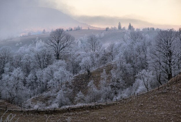 Llega el invierno Escena pintoresca antes del amanecer sobre el campo de montaña de finales de otoño con escarcha en las laderas de los árboles de pastos Rayos de luz solar pacíficos desde el cielo nublado Ucrania Montañas de los Cárpatos
