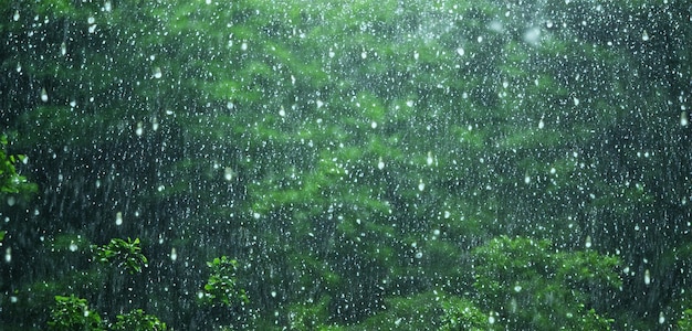 La lluvia en el bosque de pinos la niebla pesada el paisaje exuberante en la temporada de lluvias ilustración 3d