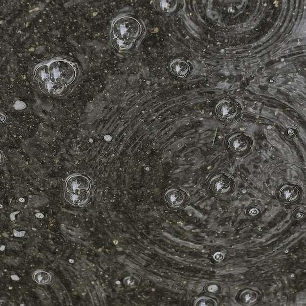 lluvia de charcos de fondo / círculos y gotas en un charco, textura con burbujas en el agua, lluvia de otoño