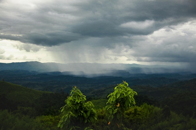 Foto sin lluvia no hay vida