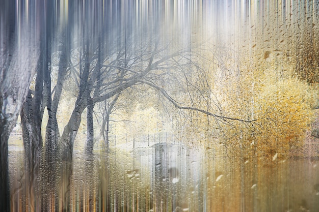 Lluvia de otoño de fondo en el parque durante el día