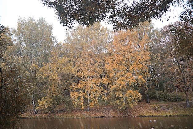 Lluvia de otoño en el parque durante el día.