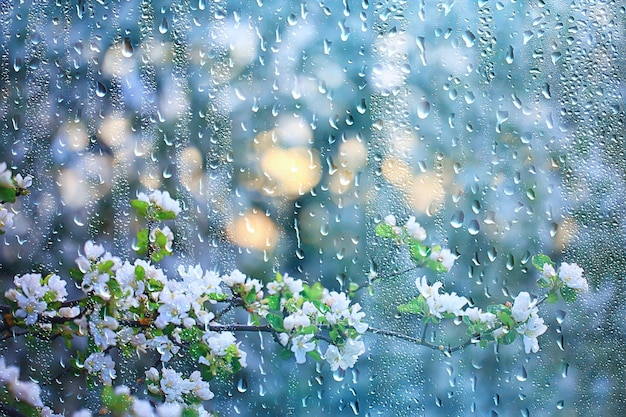 lluvia de primavera en el jardín floreciente, concepto frescura naturaleza clima fondo estacional