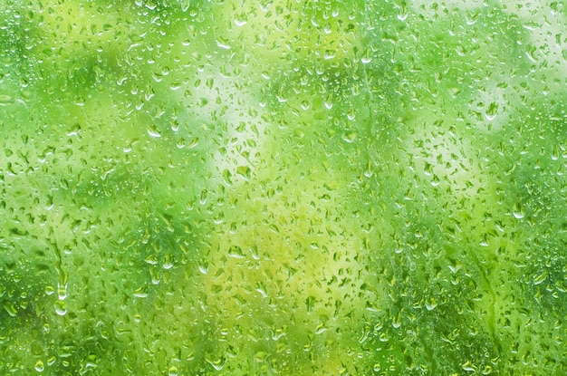 Lluvioso mojado verde eco estacional verano natural fondo borroso con gotas de agua