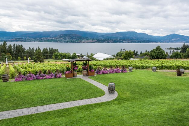 Local de cerimônia de casamento no vinhedo com vista panorâmica do lago Okanagan e das montanhas Kelowna British Columbia