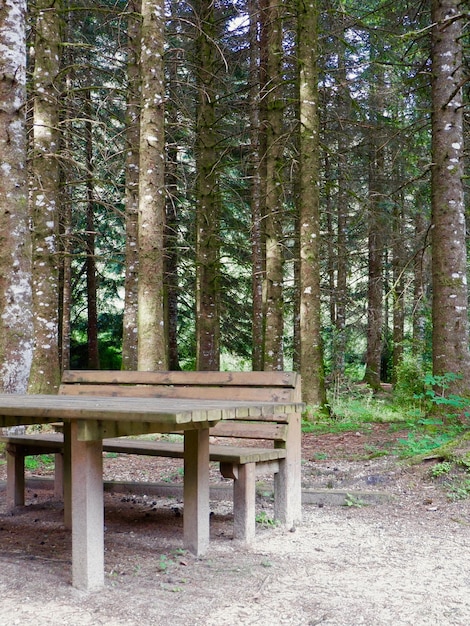 Local de descanso com mesa e cadeira na velha floresta em Bielsa Huesca Espanha Foto vertical