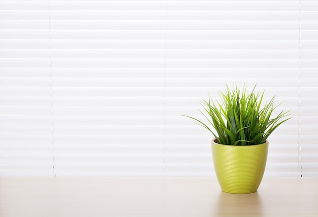 Local de trabalho de escritório com planta em vaso