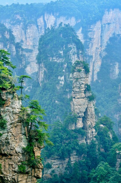 Local panorâmico nacional de Zhangjiajie Wulingyuan Área panorâmica de arenito patrimônio natural mundial