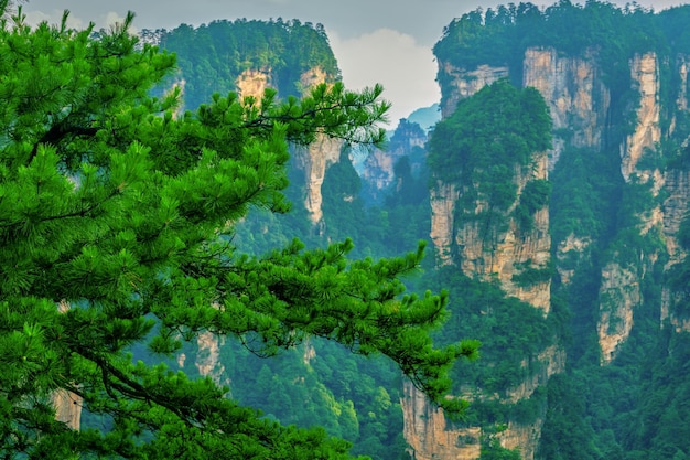 Local panorâmico nacional de Zhangjiajie Wulingyuan Área panorâmica de arenito patrimônio natural mundial