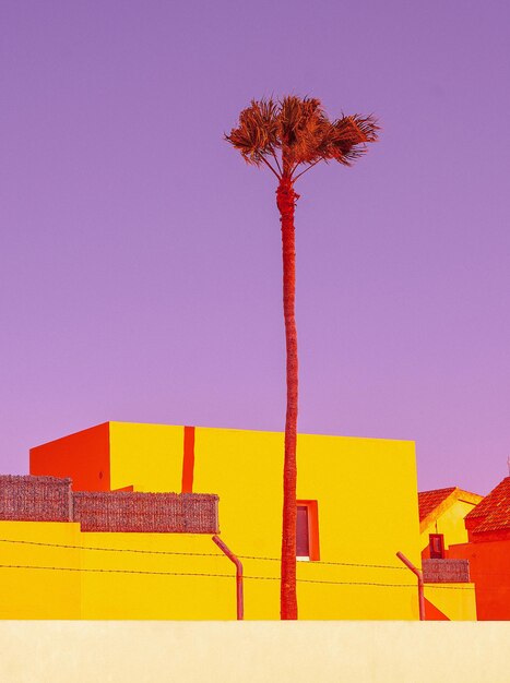 Localização minimalista tropical de moda. Palma. Céu azul de verão. Ilhas Canárias. Fuerteventura. papel de parede de banner de publicidade de viagem