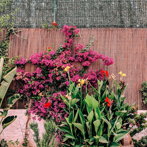 Localização tropical. palmeiras e flores. ilhas canárias. tempo de viagem da moda