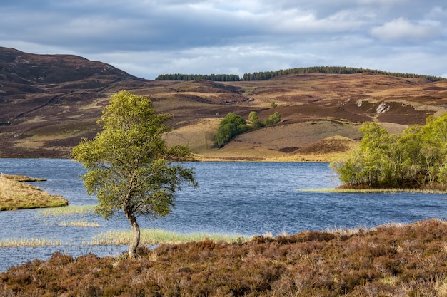 Loch Tarff