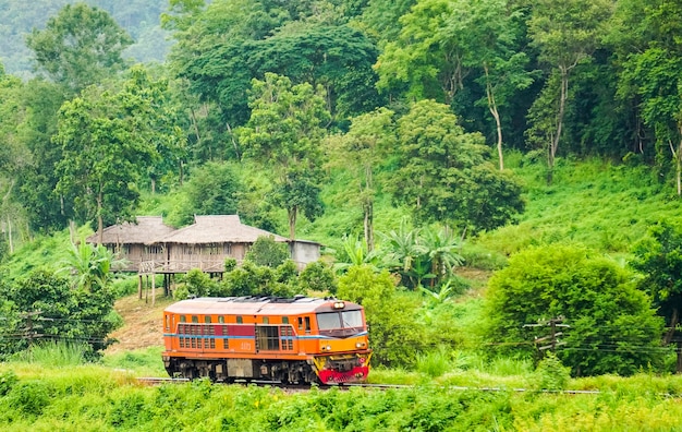 Locomotora atraviesa el valle de la jungla.