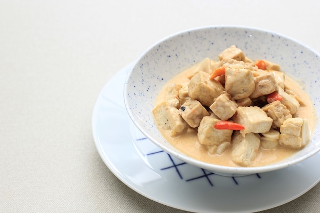 Lodeh Tahu Tempe, comida tradicional indonésia feita de tofu, tempeh e leite de coco. Picante, salgado para o menu diário (Lodeh Jawa). Copiar Espaço