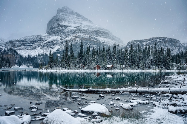 Lodge de madeira na floresta de pinheiros, com reflexo de neve pesada no lago o'hara no parque nacional de yoho