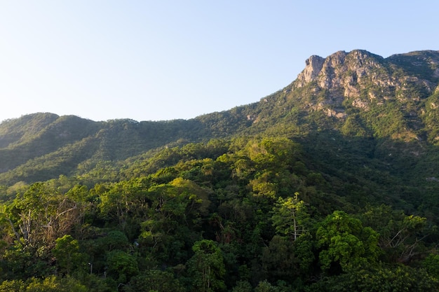 Löwenfelsen Berg