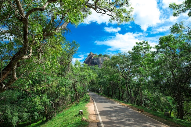 Löwenfelsenfestung Sigiriya in Sri Lanka