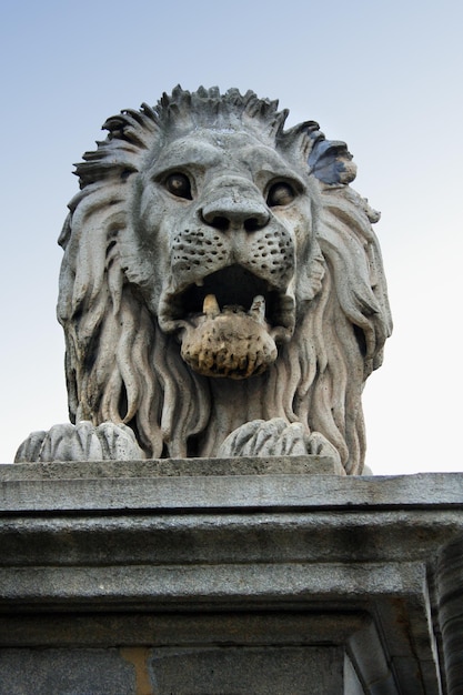 Löwenstatue auf der alten Kettenbrücke auf der Donau in der Stadt Budapest Ungarn