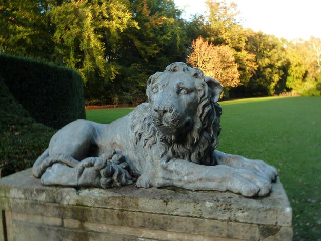 Löwenstatue im Park