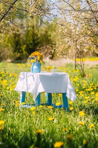 Löwenzahnblumen im blauen Keramikkrug im Sonnenlicht Florale Komposition im Freien