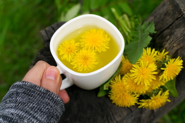 Löwenzahnblumentee-Aufguss in der weißen Tasse nah oben. Kräutergetränk, gelbe Blüten und Blätter Tisane