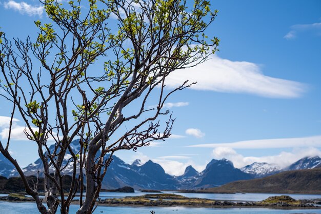 Lofoten Inseln Norwegen