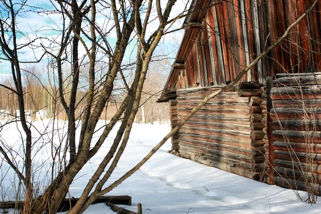 Log house pared paisaje invierno