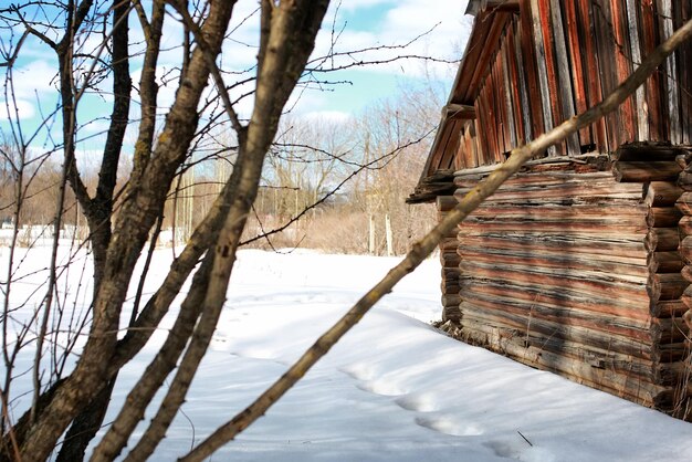 Log house pared paisaje invierno